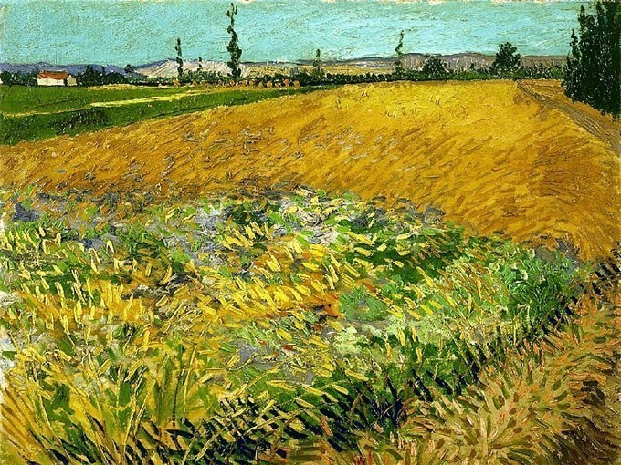 №0403 Grain Field, Van Gogh. Μοναδικός πίνακας σε καμβά, με εντυπωσιακές χειροποίητες 3D πινελιές. Δημιουργείται αποκλειστικά για εσάς, κατόπιν παραγγελίας