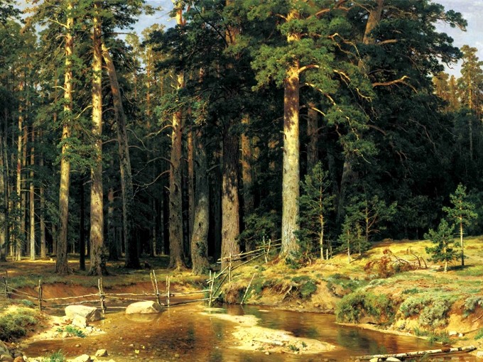 №1353, "Mast Tree Grove", Ivan Shishkin. Μοναδικός πίνακας σε καμβά, με εντυπωσιακές χειροποίητες 3D πινελιές. Δημιουργείται αποκλειστικά για εσάς, κατόπιν παραγγελίας