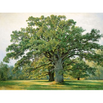 №1441, Oak, Ivan Shishkin. Μοναδικός πίνακας σε καμβά, με εντυπωσιακές χειροποίητες 3D πινελιές. Δημιουργείται αποκλειστικά για εσάς, κατόπιν παραγγελίας