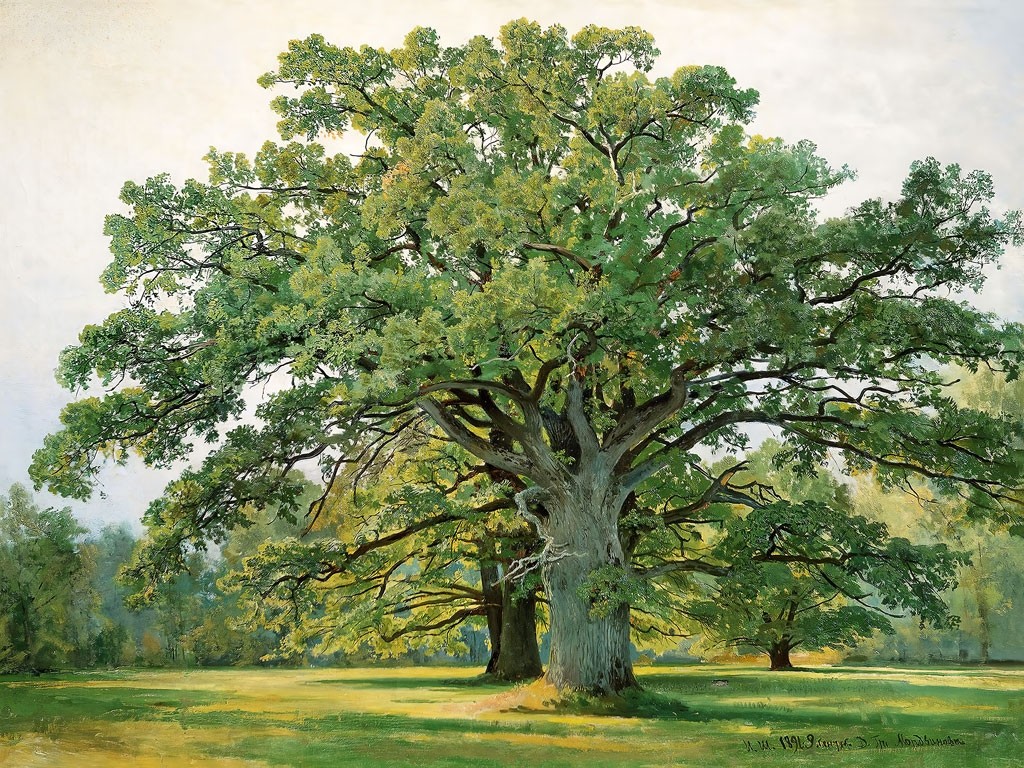 №1441, Oak, Ivan Shishkin. Μοναδικός πίνακας σε καμβά, με εντυπωσιακές χειροποίητες 3D πινελιές. Δημιουργείται αποκλειστικά για εσάς, κατόπιν παραγγελίας