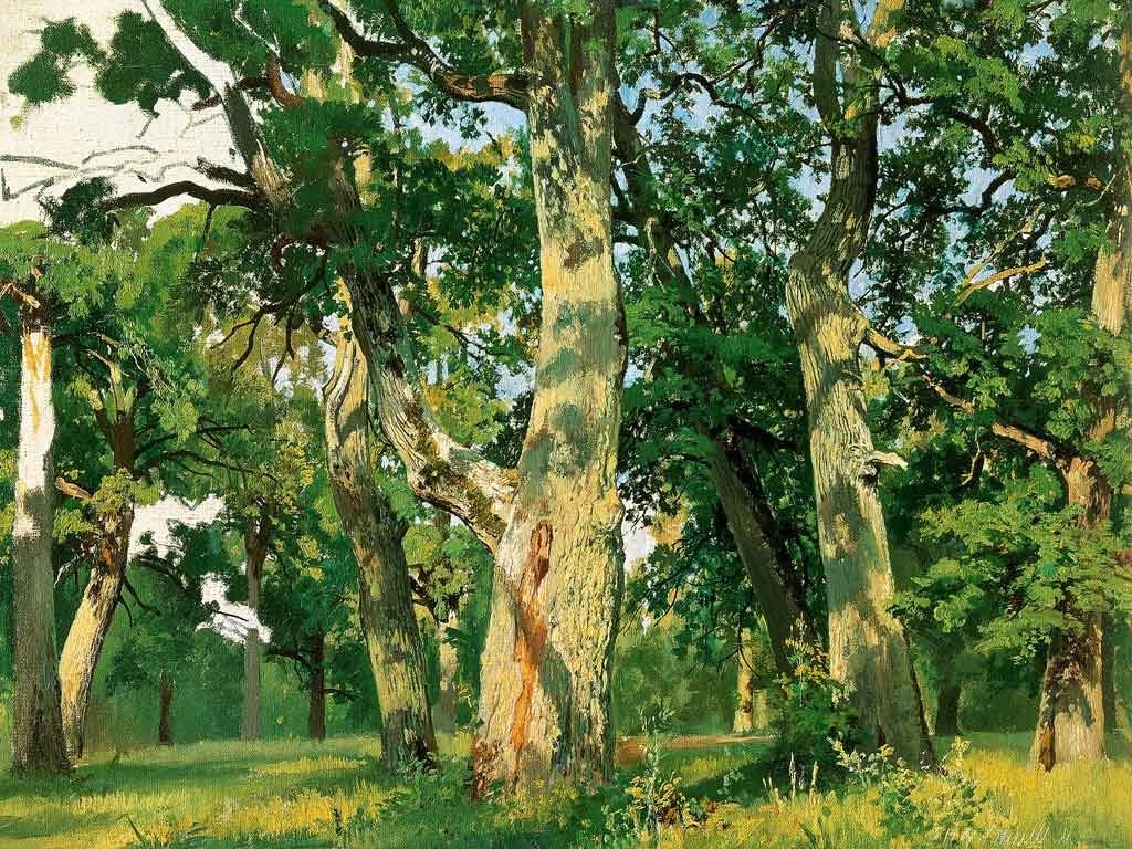 №1442, Oak grove, Ivan Shishkin. Μοναδικός πίνακας σε καμβά, με εντυπωσιακές χειροποίητες 3D πινελιές. Δημιουργείται αποκλειστικά για εσάς, κατόπιν παραγγελίας
