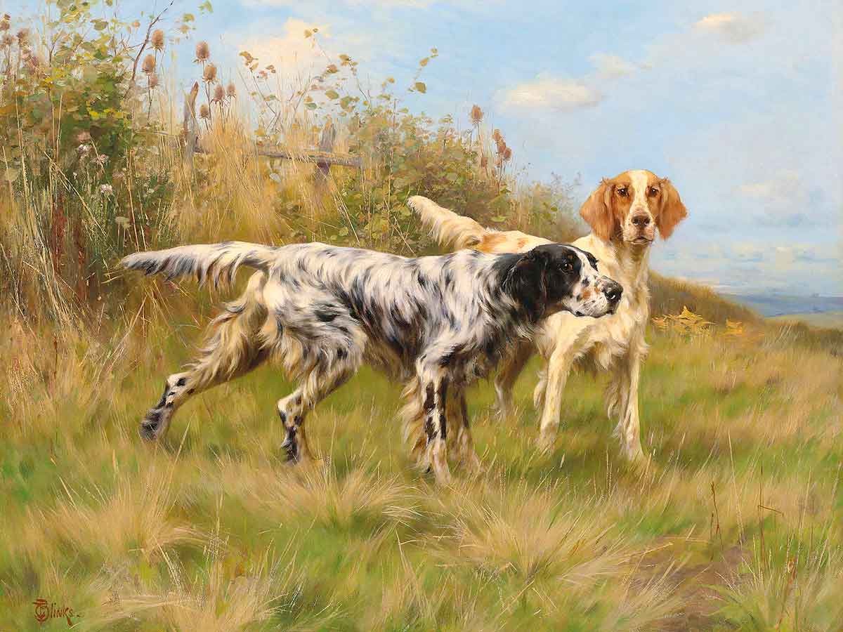 №3170 Thomas Blinks - Two English setters. Μοναδικός πίνακας σε καμβά, με εντυπωσιακές χειροποίητες 3D πινελιές. Δημιουργείται αποκλειστικά για εσάς, κατόπιν παραγγελίας