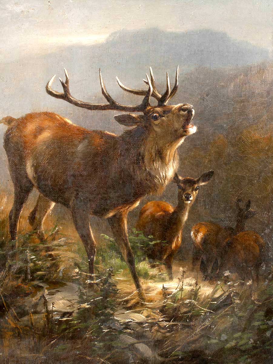 №3191 Anton Schmitz - Roaring deer. Μοναδικός πίνακας σε καμβά, με εντυπωσιακές χειροποίητες 3D πινελιές. Δημιουργείται αποκλειστικά για εσάς, κατόπιν παραγγελίας
