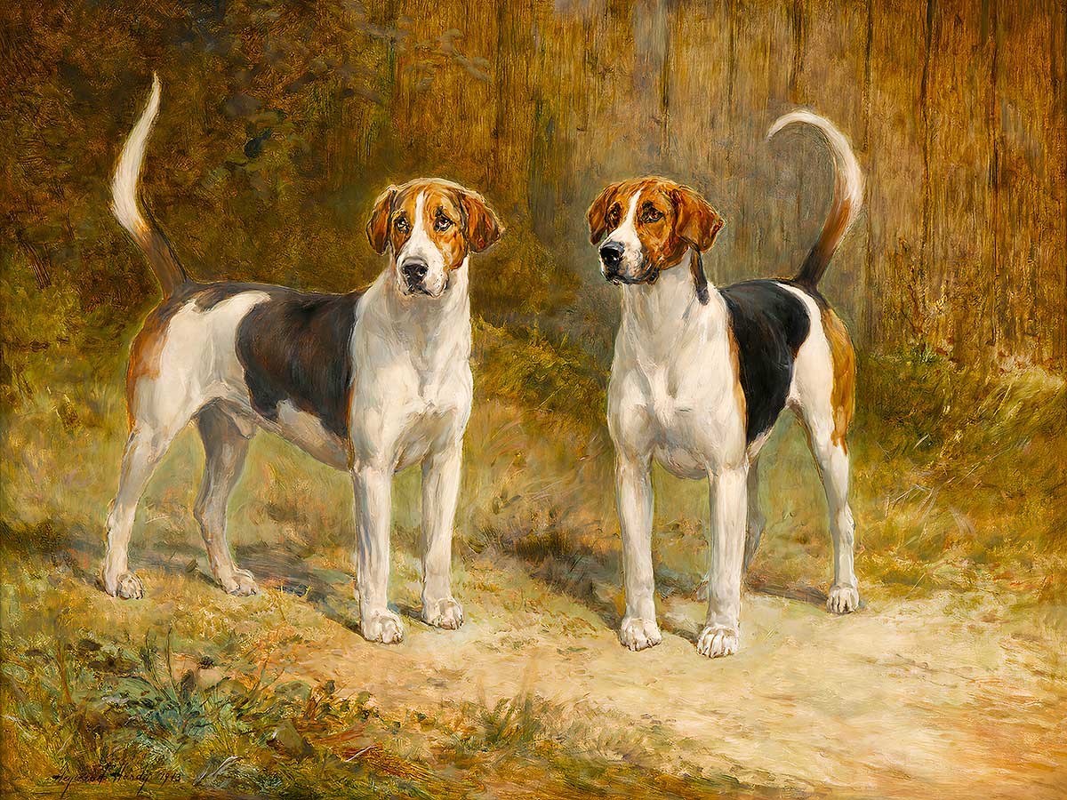 №3258 Heywood Hardy - Fox Hounds. Μοναδικός πίνακας σε καμβά, με εντυπωσιακές χειροποίητες 3D πινελιές. Δημιουργείται αποκλειστικά για εσάς, κατόπιν παραγγελίας