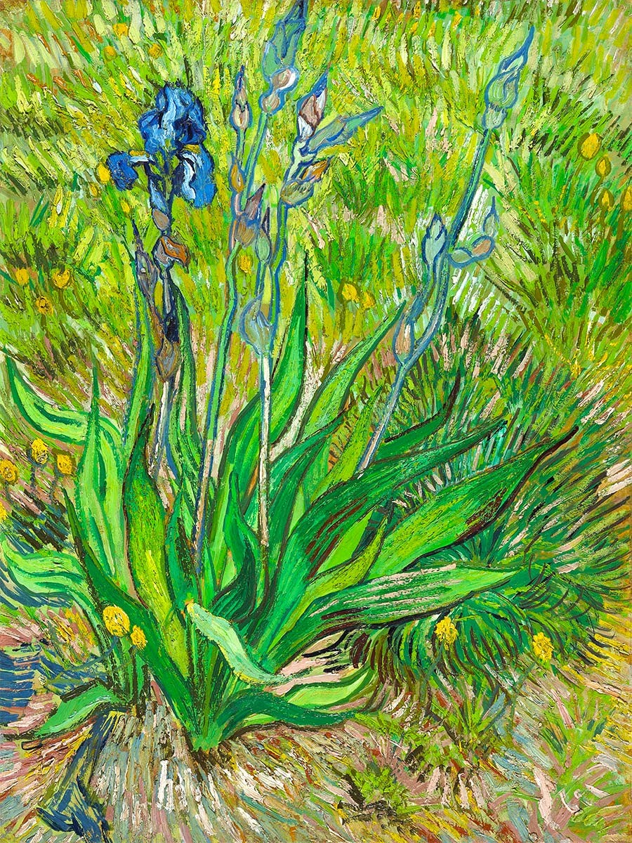 №3718 Vincent van Gogh - Iris. Μοναδικός πίνακας σε καμβά, με εντυπωσιακές χειροποίητες 3D πινελιές. Δημιουργείται αποκλειστικά για εσάς, κατόπιν παραγγελίας
