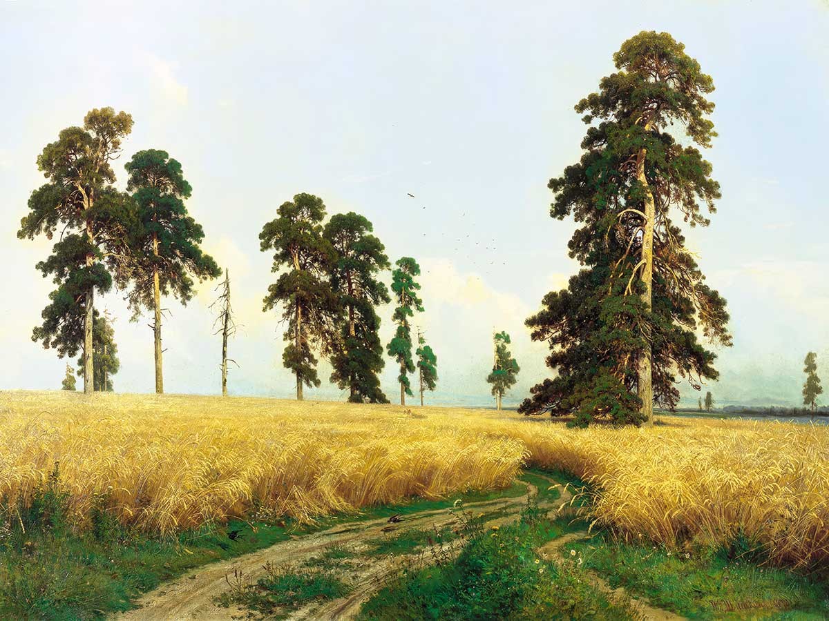 №3828 Ivan Shishkin - Rye Field. Μοναδικός πίνακας σε καμβά, με εντυπωσιακές χειροποίητες 3D πινελιές. Δημιουργείται αποκλειστικά για εσάς, κατόπιν παραγγελίας