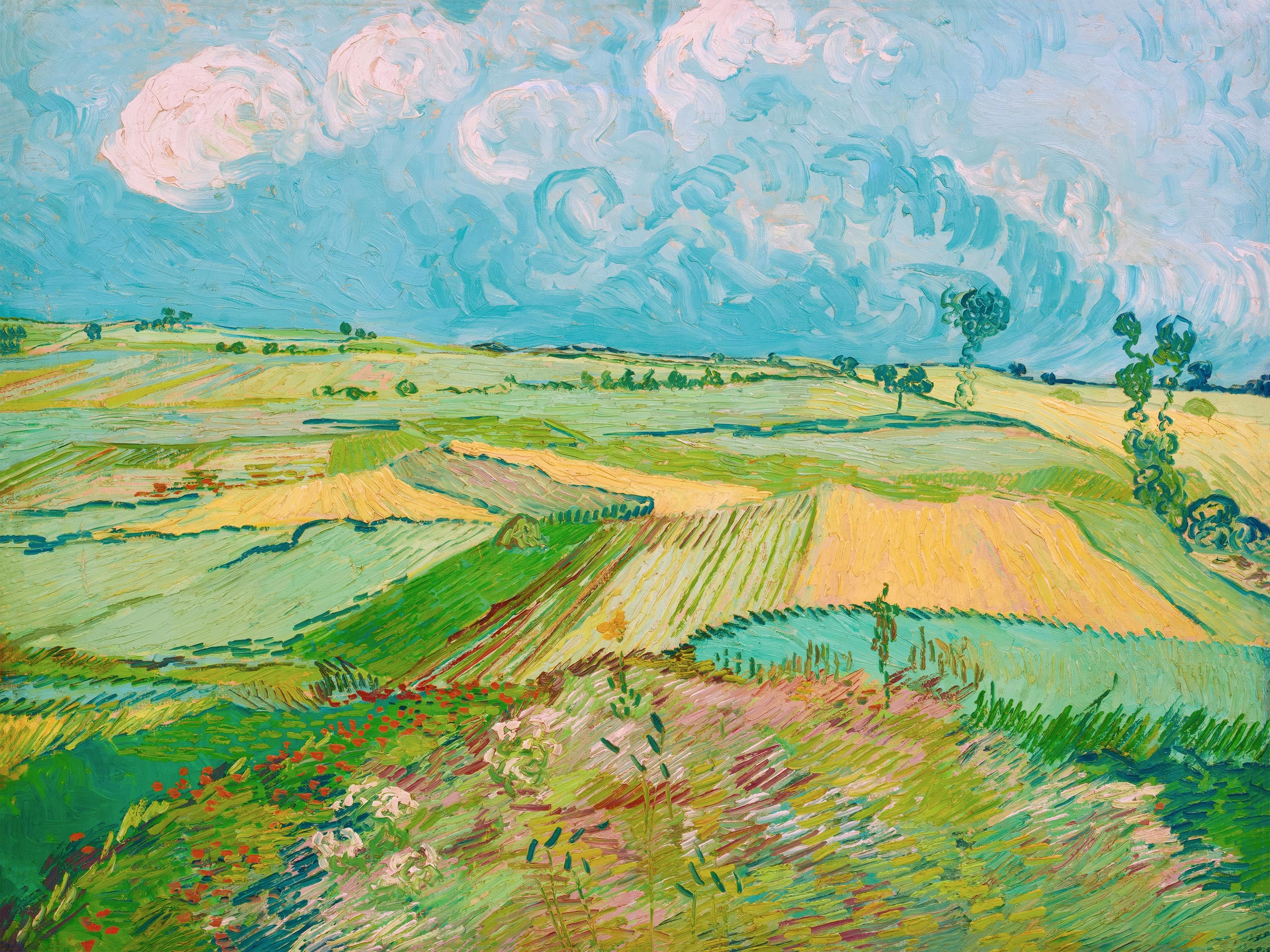 №3847 Vincent van Gogh - Wheat Fields after the rain (The Plain of Auvers). 