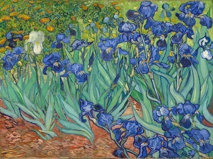 №0203, Irises, Van Gogh. Μοναδικός πίνακας σε καμβά, με εντυπωσιακές χειροποίητες 3D πινελιές. Δημιουργείται αποκλειστικά για εσάς, κατόπιν παραγγελίας